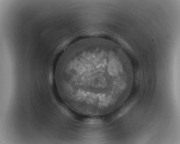 X0000115580644200911171010