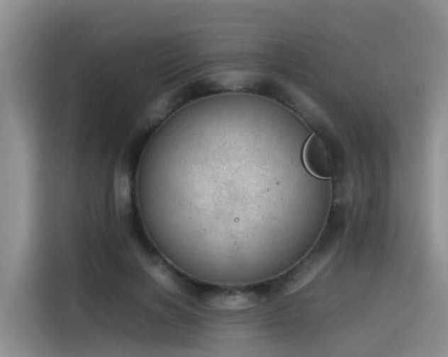 X0000115580646200911171010