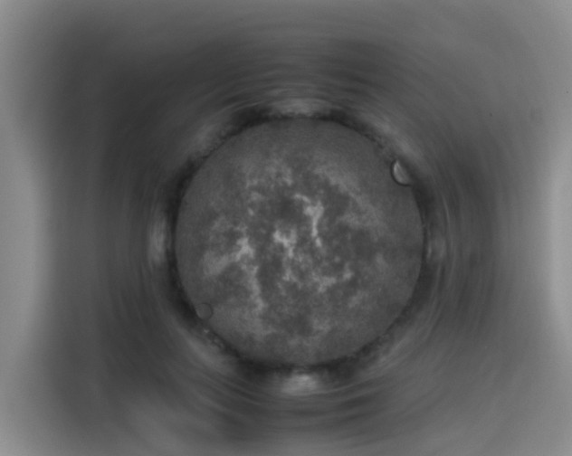 X0000115580647200911171010