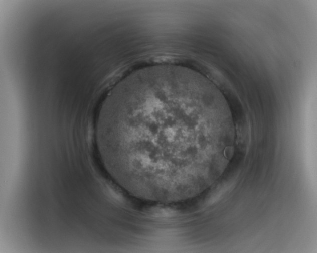 X0000115580648200911171010