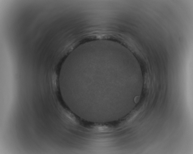 X0000115580650200911171010