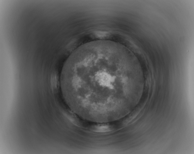 X0000115580651200911171010