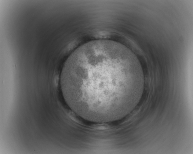 X0000115580652200911171010