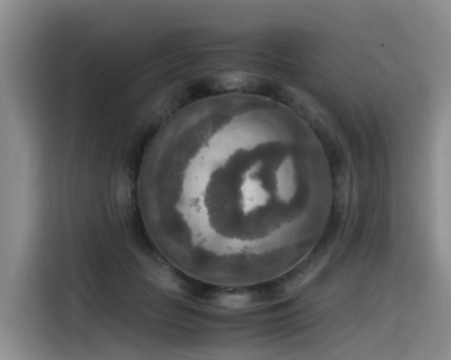 X0000115580653200911171011