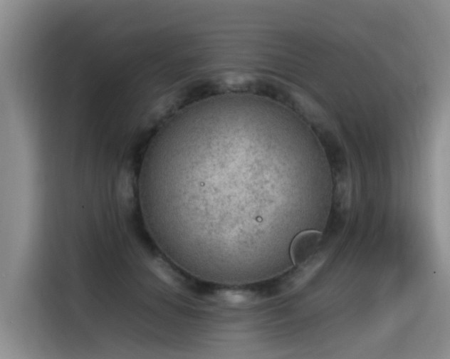 X0000115580654200911171011