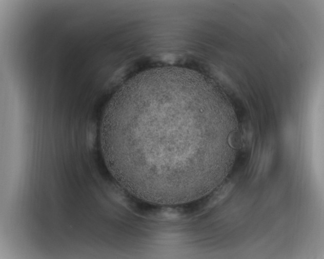 X0000115580656200911171011