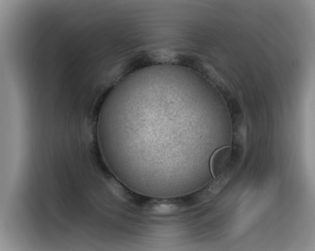 X0000115580658200911171011