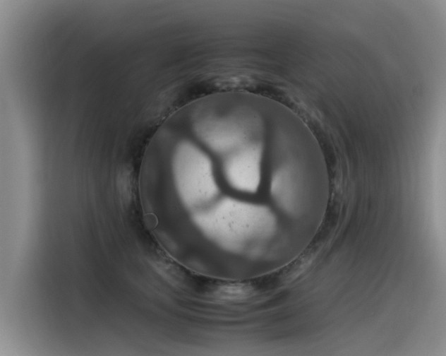 X0000115580659200911171011