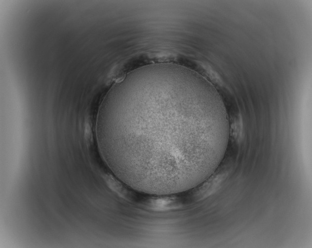 X0000115580662200911171011