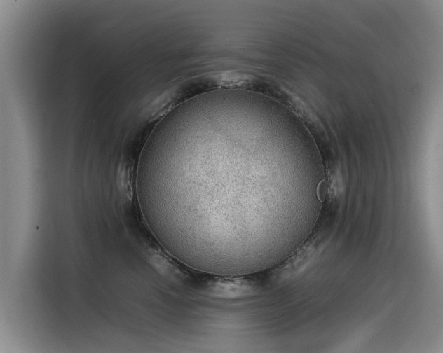 X0000115580666200911171011