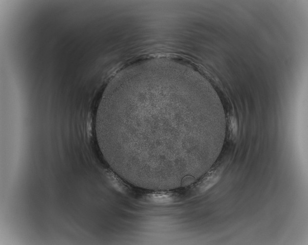 X0000115580668200911171011