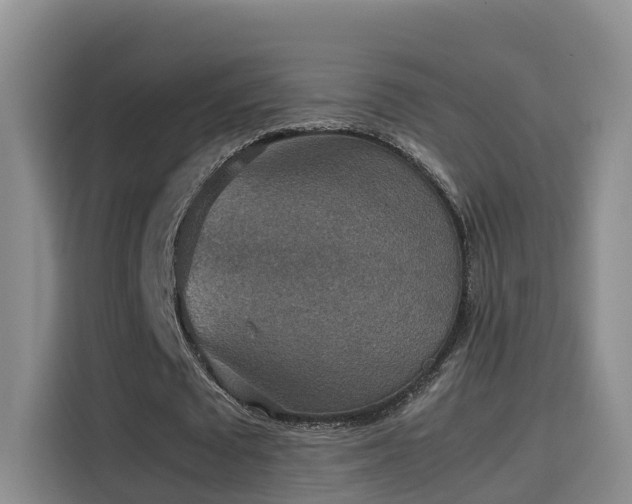 X0000115580673200911171010