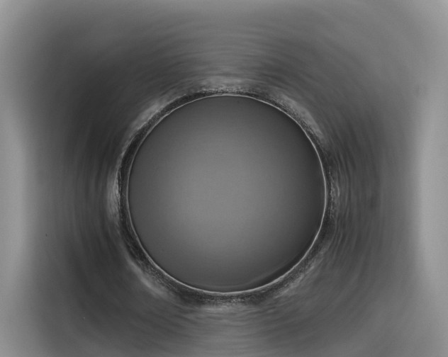 X0000115580674200911171010