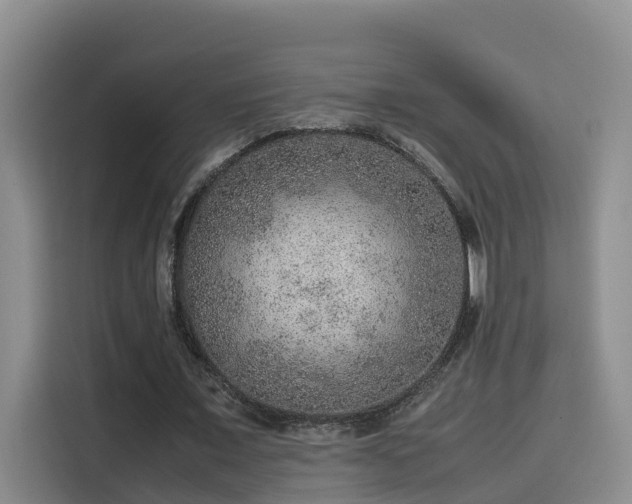 X0000115580675200911171010