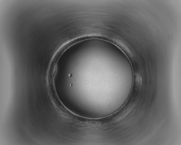 X0000115580676200911171010