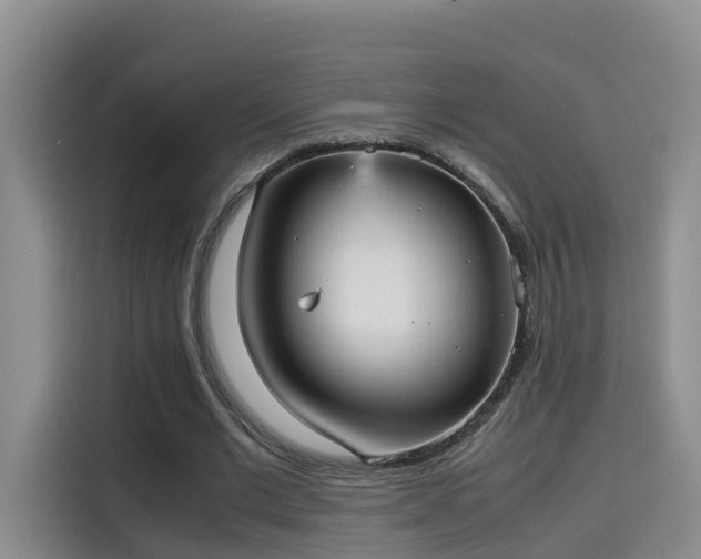 X0000115580677200911171010