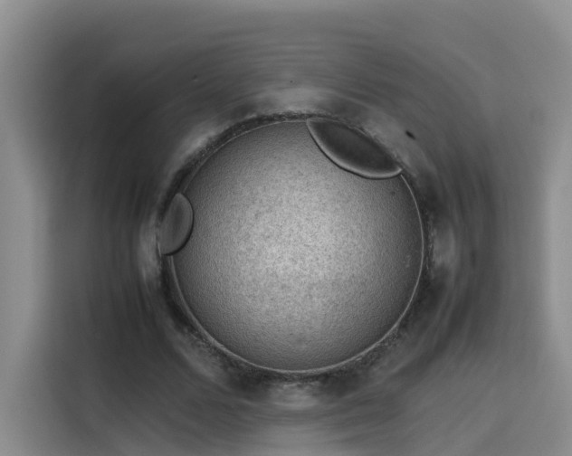 X0000115580680200911171010