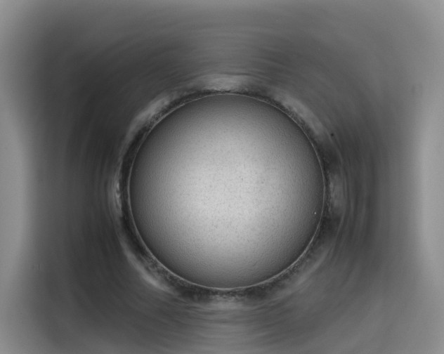 X0000115580682200911171010