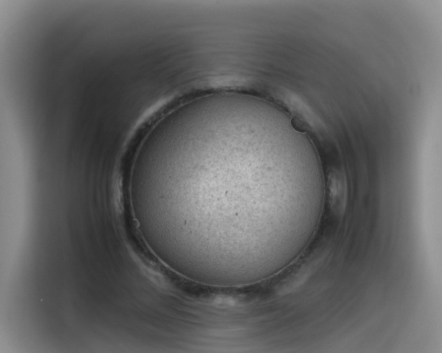 X0000115580684200911171010