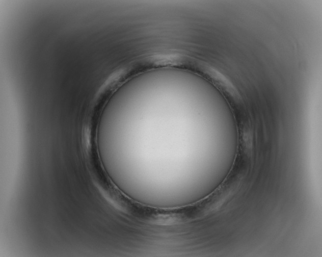 X0000115580686200911171010