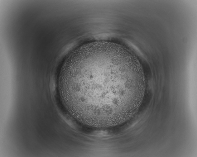 X0000115580687200911171010