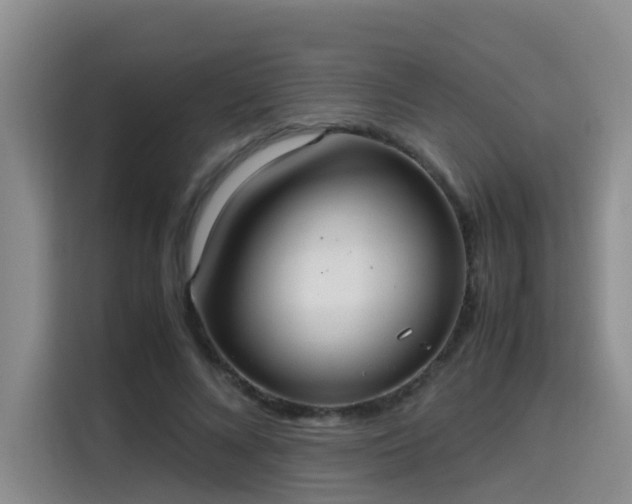 X0000115580688200911171010