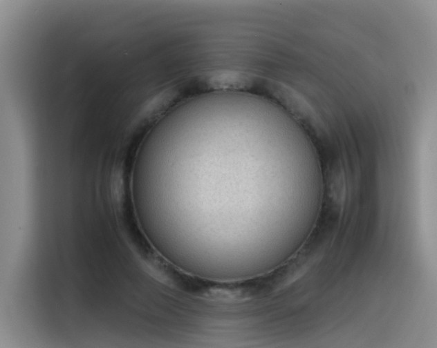 X0000115580690200911171010