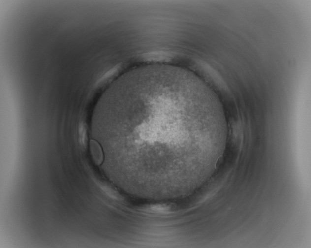 X0000115580692200911171010