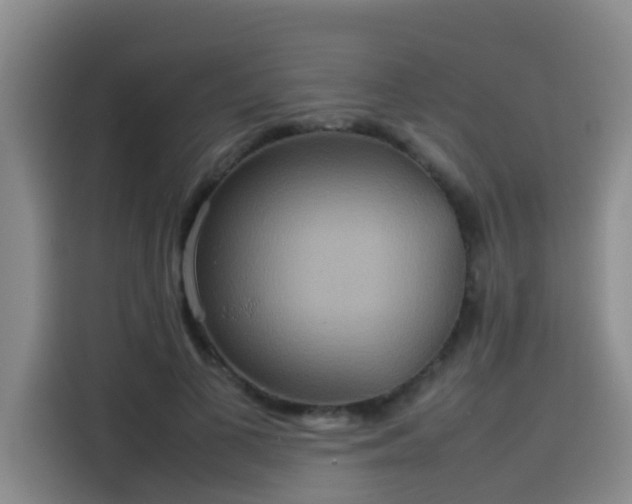 X0000115580693200911171010