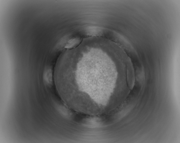 X0000115580696200911171010