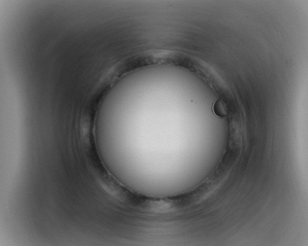 X0000115580698200911171010