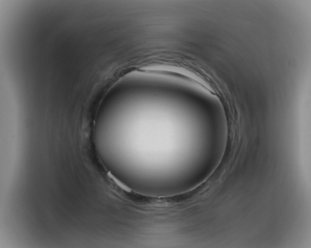 X0000115580701200911171010