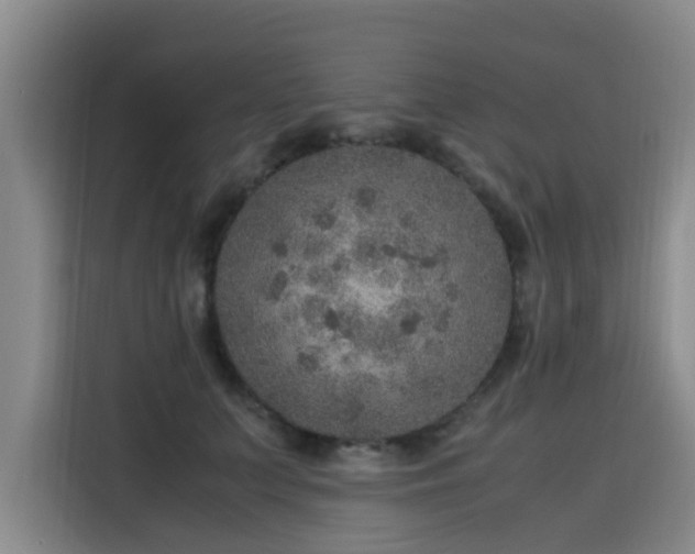 X0000115580703200911171010