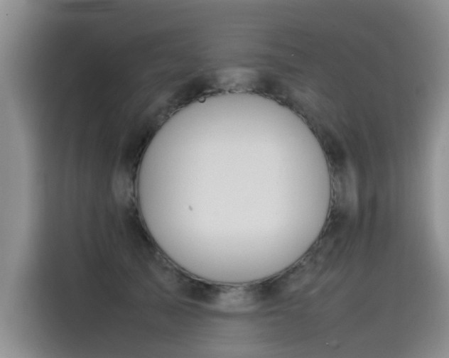 X0000115580705200911171010