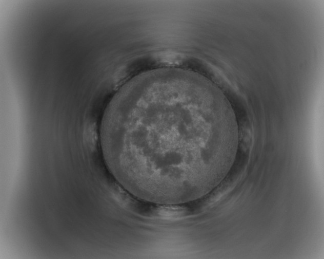 X0000115580707200911171010