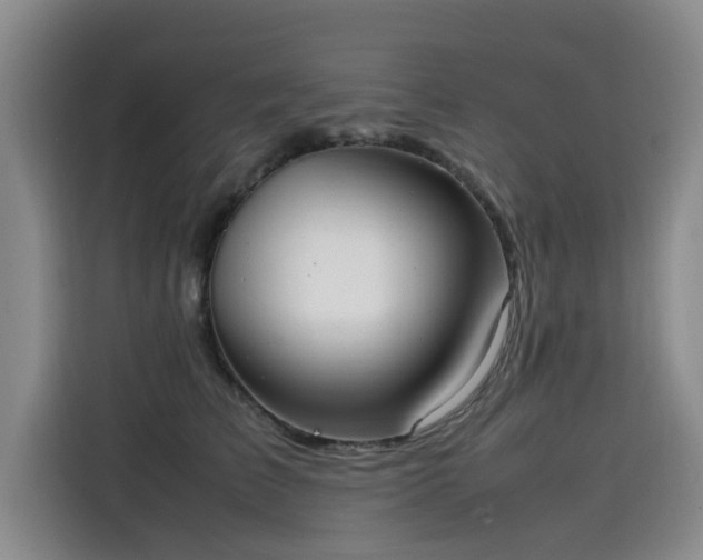 X0000115580709200911171010