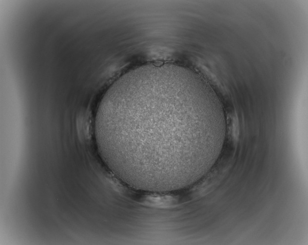 X0000115580712200911171010