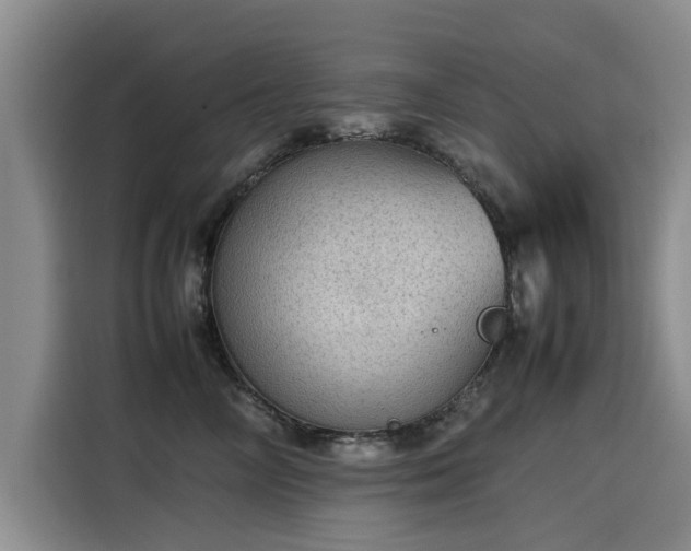 X0000115580714200911171010