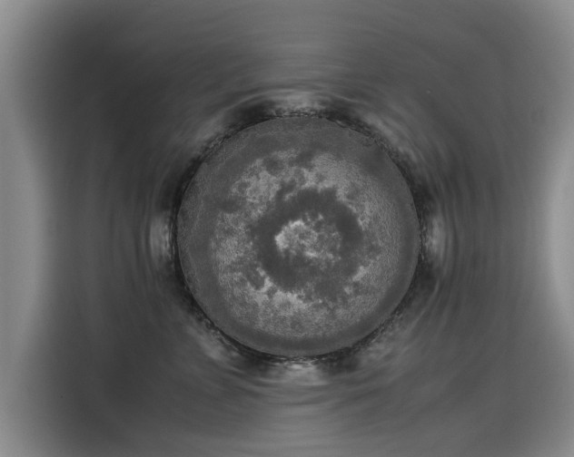 X0000115580715200911171010