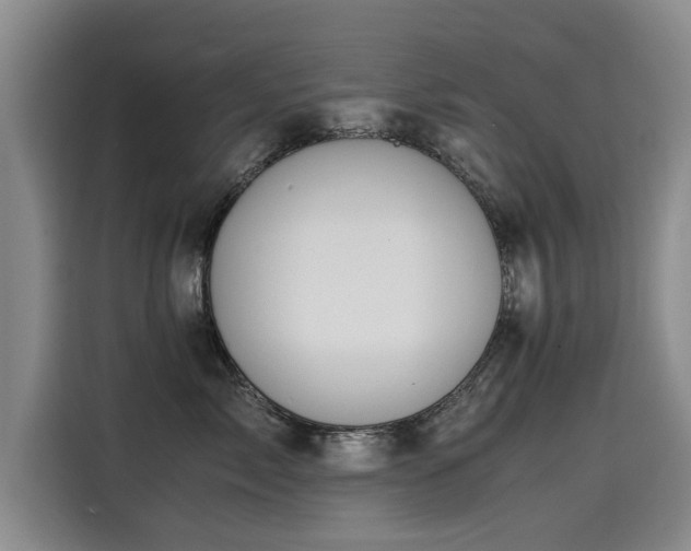 X0000115580717200911171010