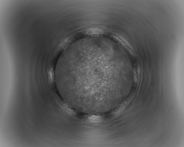 X0000115580718200911171010