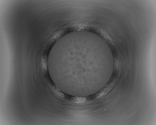 X0000115580719200911171010