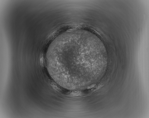 X0000115580720200911171010