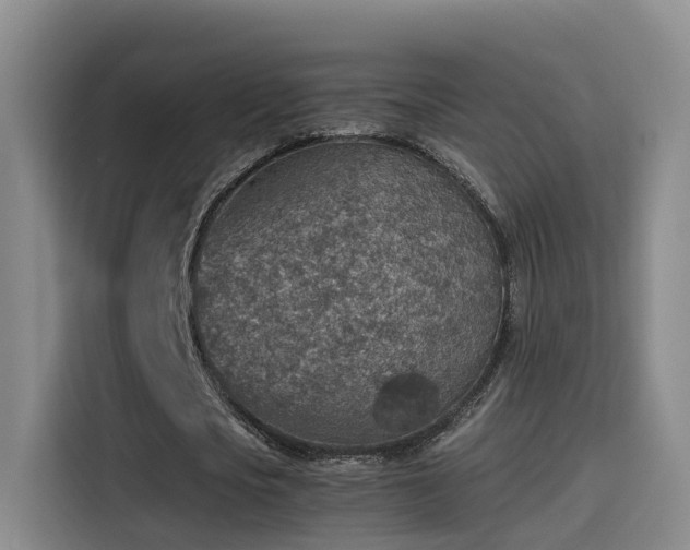 X0000115580721200911171009