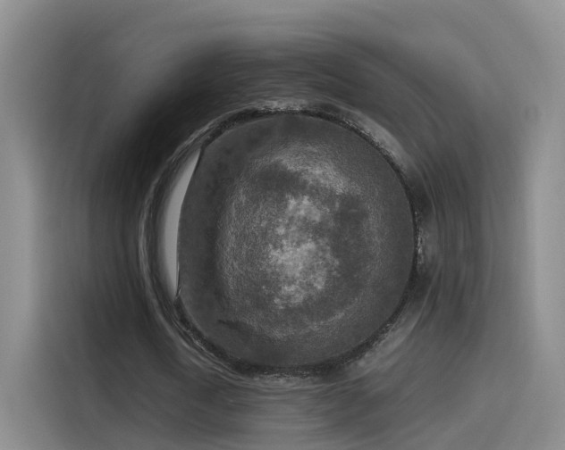 X0000115580722200911171009