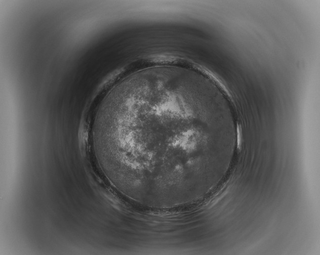 X0000115580723200911171009