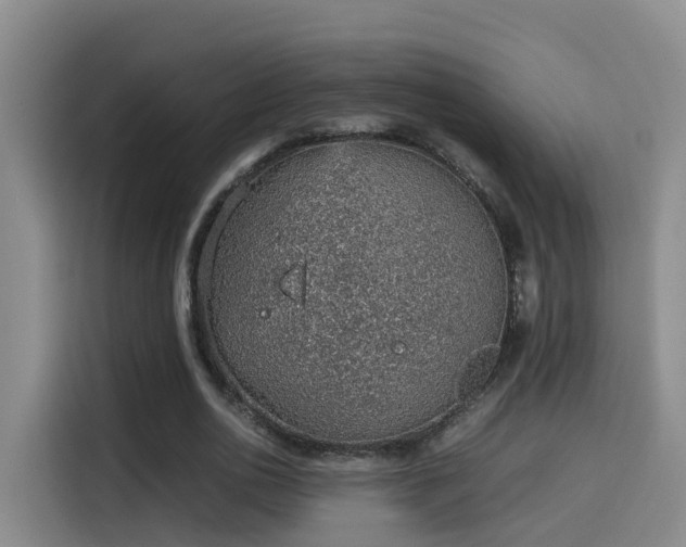 X0000115580726200911171009