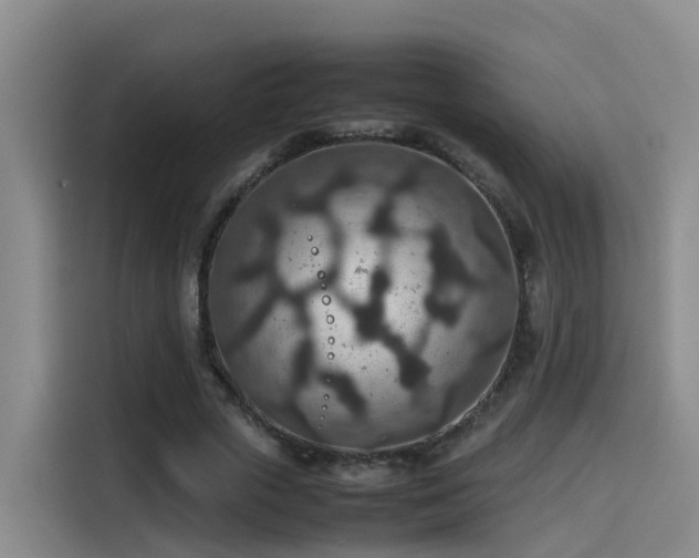 X0000115580729200911171009