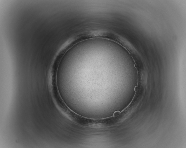 X0000115580730200911171009