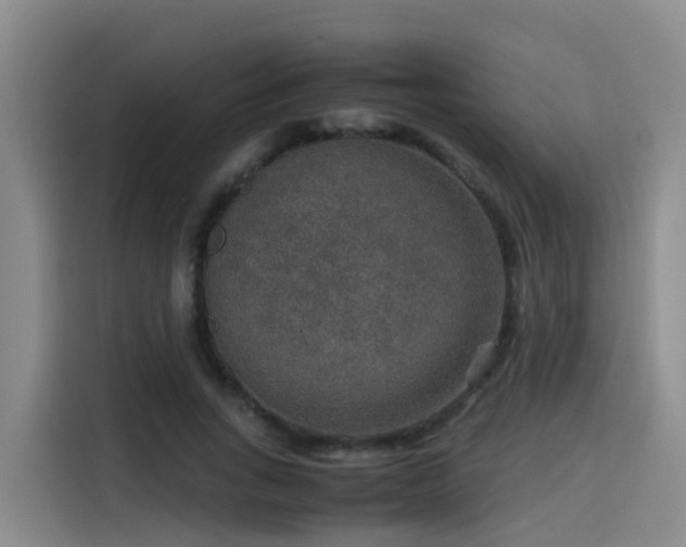 X0000115580735200911171009